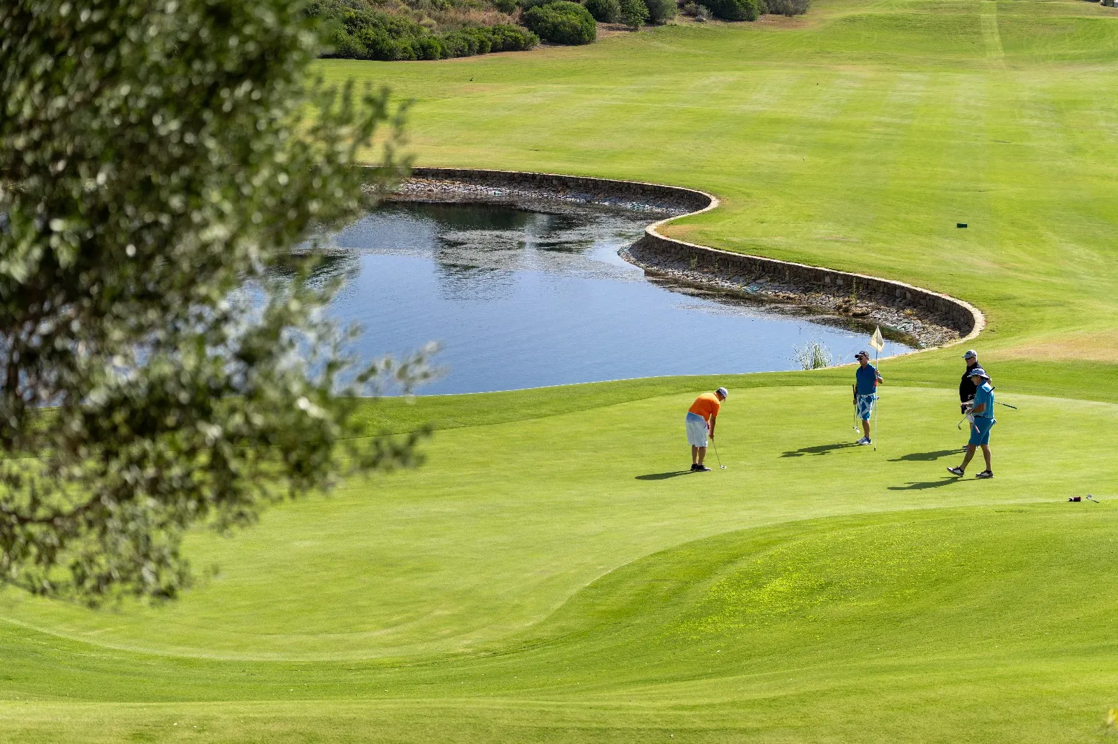 Observación de aves y golf en Estepona en Valle Romano
