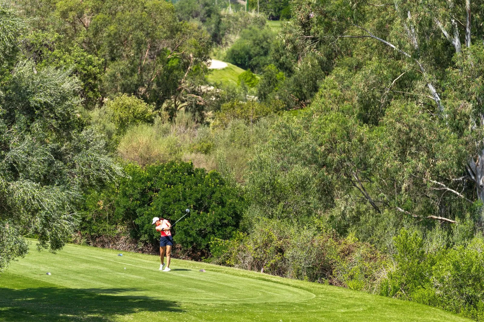Observación de aves y golf en Estepona en Valle Romano